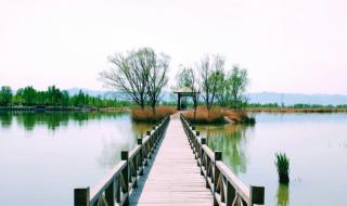 野鸭湖湿地公园 野鸭湖湿地公园