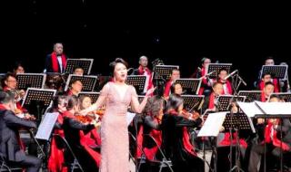 新年音乐会2023 新年音乐会2023