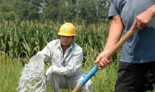 河北农民频道非常帮助 河北农民频道非常帮助