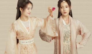 清风寨是哪部电视剧